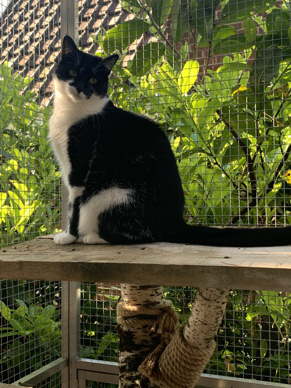 47B9D032-880F-478A-9A90-B18328536BAE