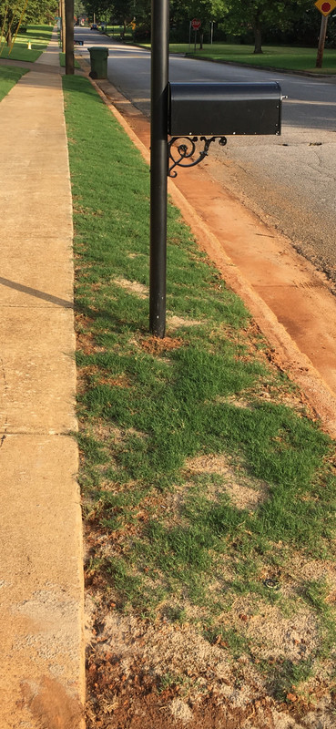 8AAE55AE-C1CC-42A2-980B-271F2945A03B