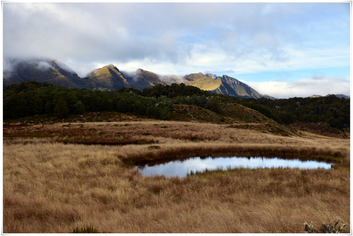 Kahurangi NP: Tableland/Mt Arthur Circuit (abril 2023) - Escapadas y rutas por la Nueva Zelanda menos conocida (17)