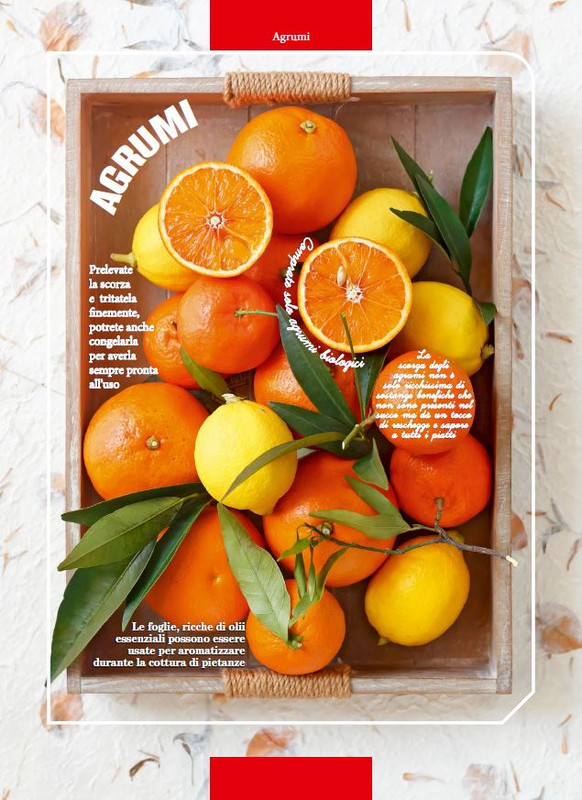 Cuc Tra Spec Apr-Mag 2020 (1)