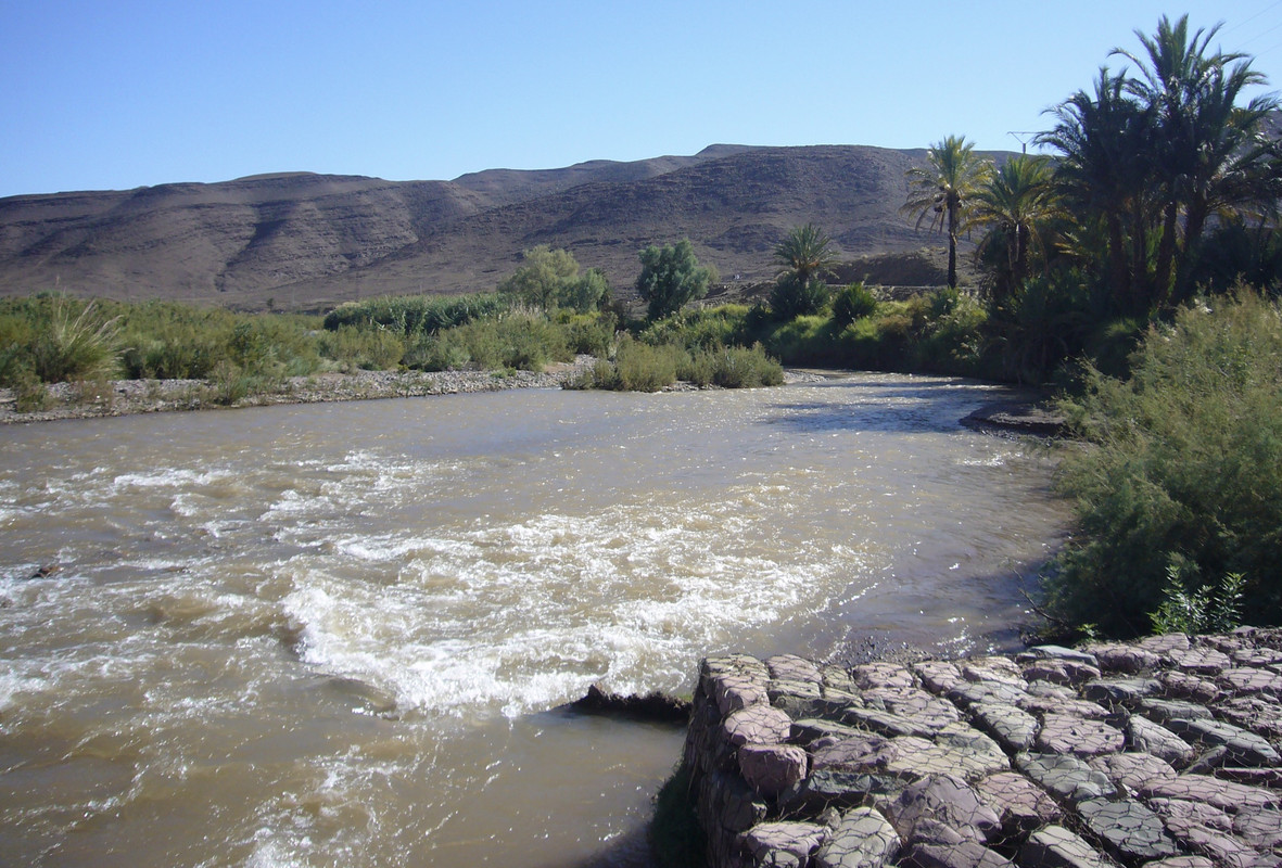 El Valle del Drâa, Region-Marruecos (8)