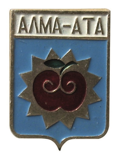 28х19