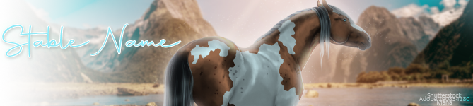 Warmth-BANNER