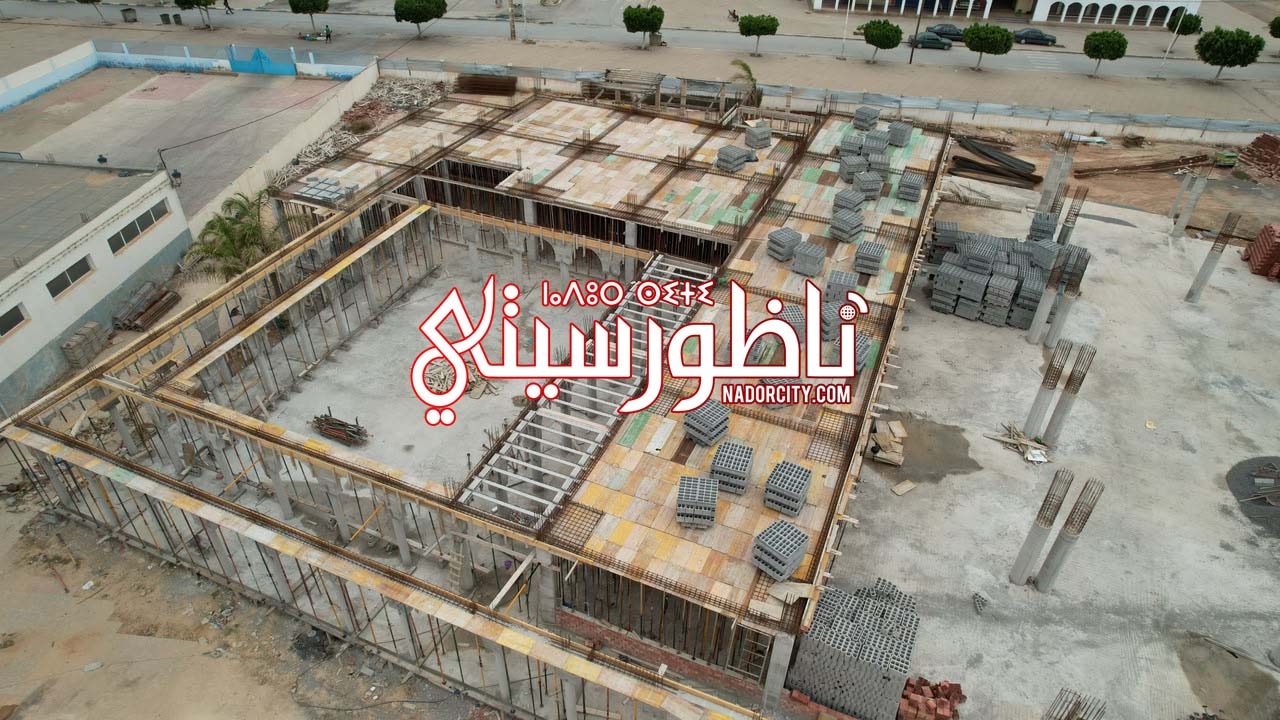 Whats-App-Image-2026-06-28-at-16-51-04-(6)