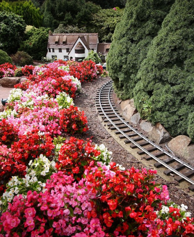 Screenshot_20240305_223705_Pinterest