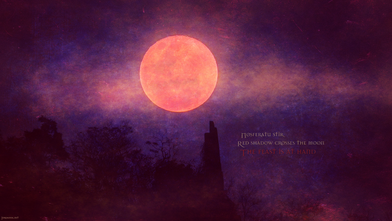 Wallpaper: the moon seen during a blood moon lunar eclipse.