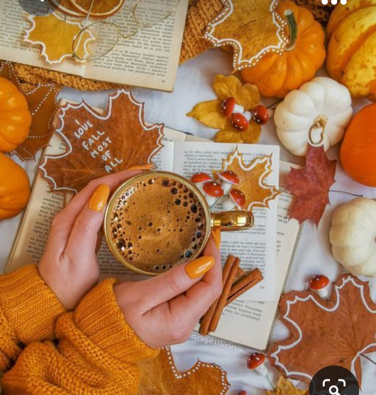 Screenshot_20230923_000354_Pinterest