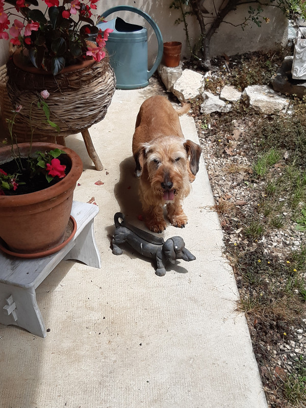 [Image: 20200614-124741.jpg]