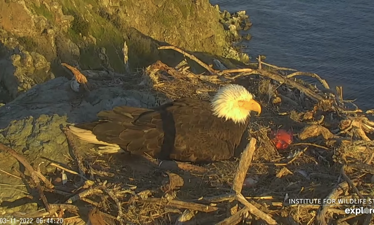 53074207-35D1-450D-ACA4-66108E65CCF4