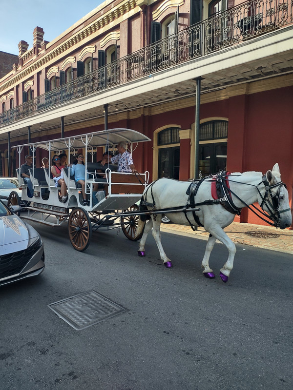IMG_20250628_165750739_HDR