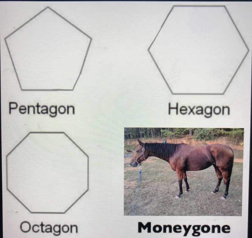 C3FEC3CE-3399-45B6-BA37-86754D35D5E1