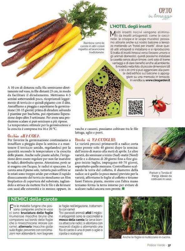 Pol Ver Apr-Mag 2022 (8)