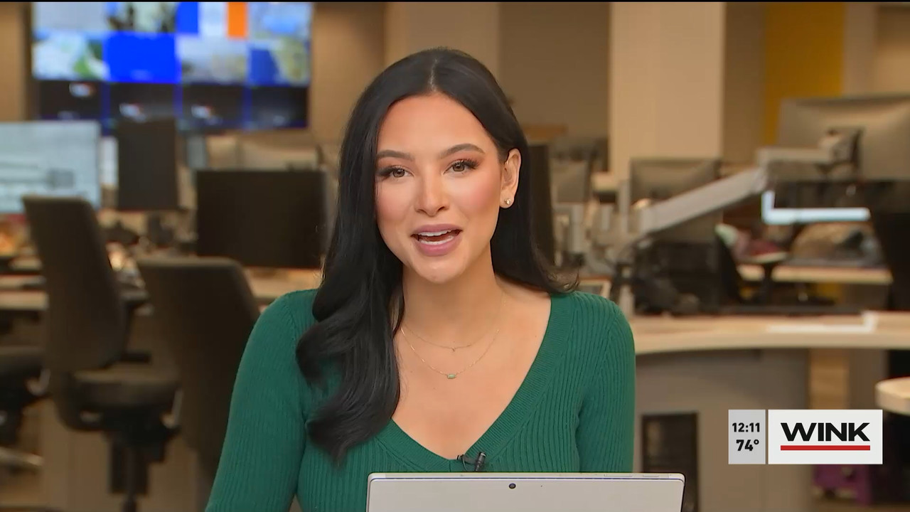 12.21 - 17.00.00 - The WINK Noon News  ᴺᵉʷ. Midday news update..ts_snapshot_17.27.184