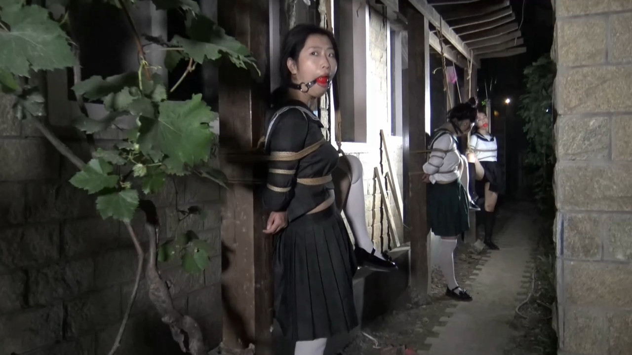 胜景影视 夜晚葡萄棚下调教三女M.mp4_20220727_185250.192