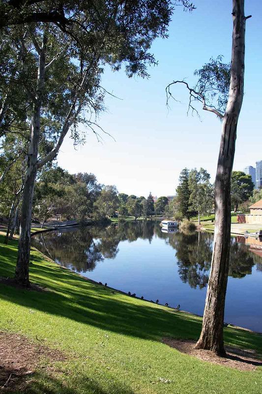 River Torrens