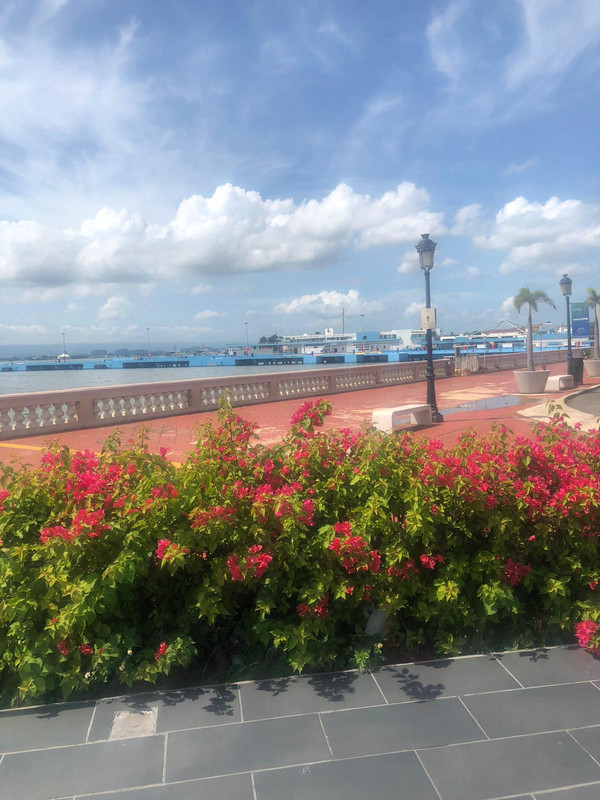 FA1AF6DB-188D-4404-87F9-0CCF7A44C44F