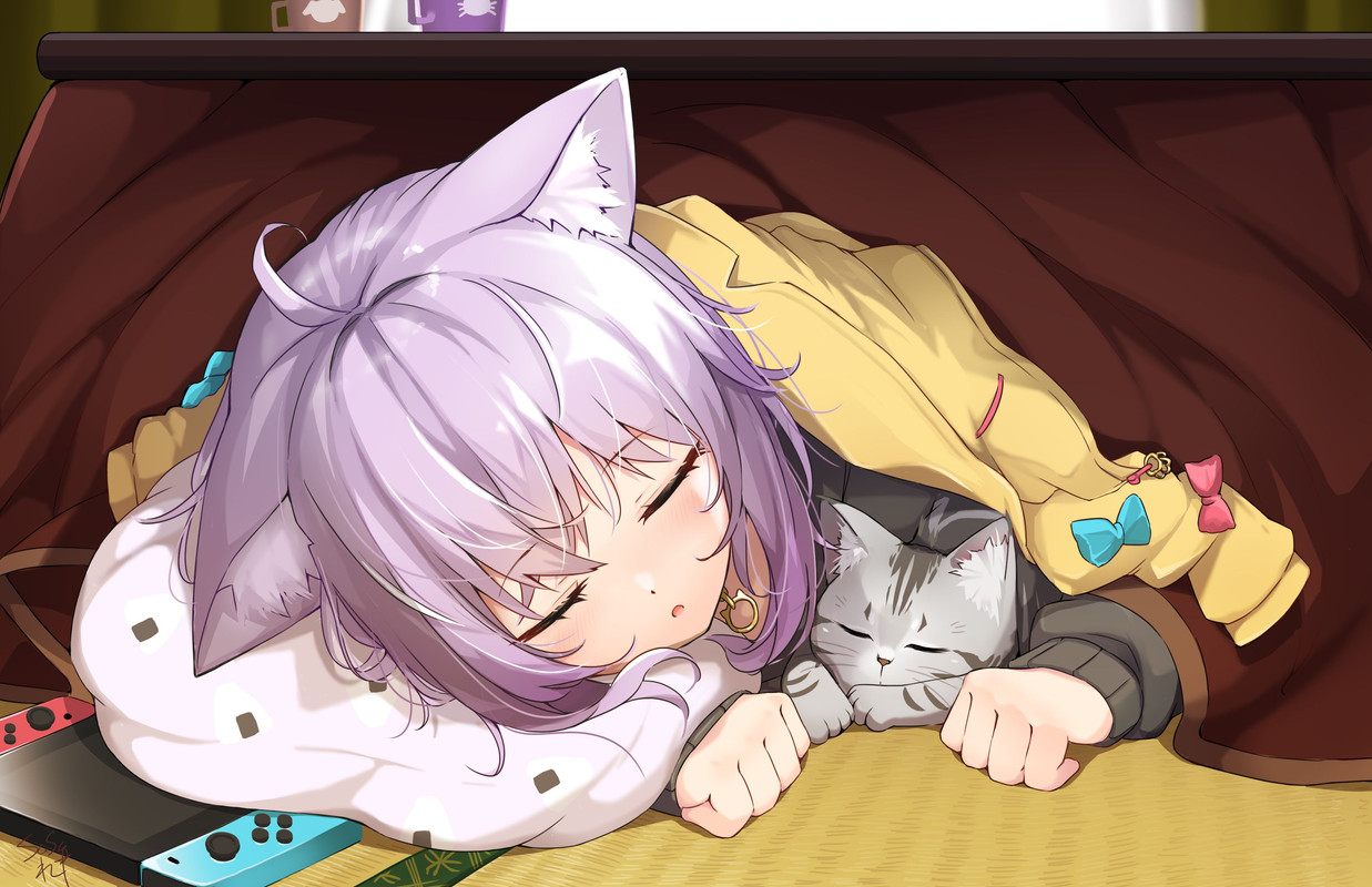 nekomata-okayu-and-temari-hololive-drawn-by-nakareki-2b5369322bffdd83bc960d7df6afb212-1
