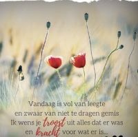 hetverlies