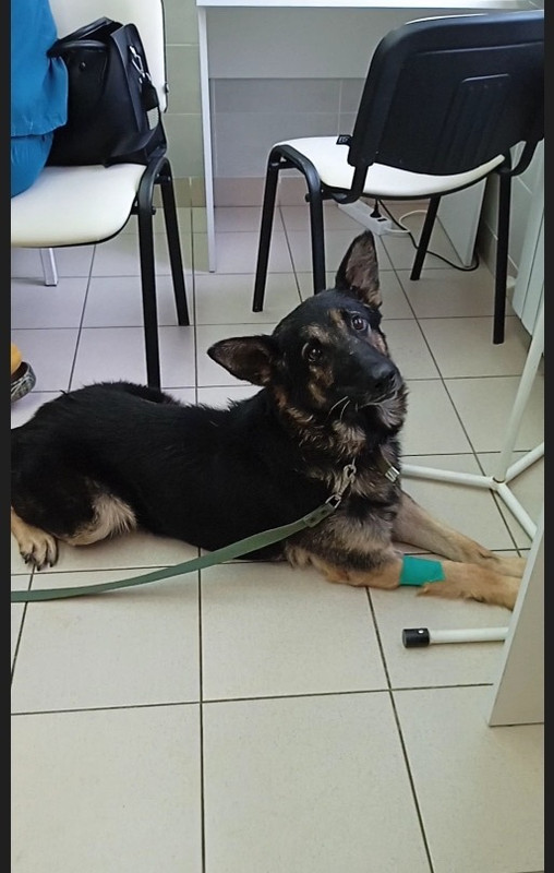 2D93438D-84BD-48B2-88E6-018DD90BF322