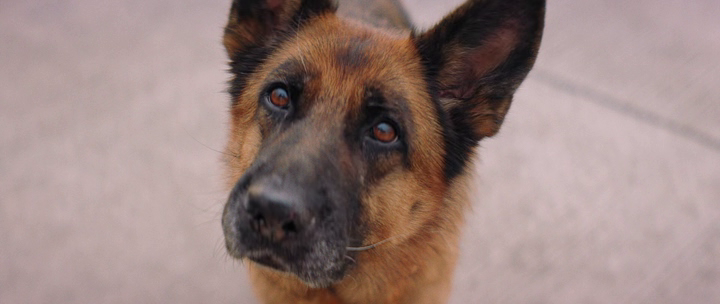 vlcsnap-2022-08-15-14h38m52s422