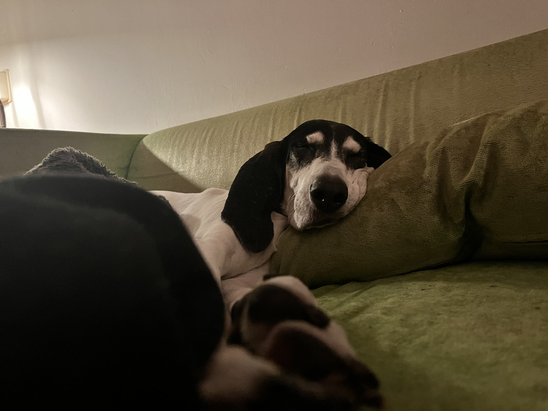 3C56CF6C-47A1-4CC0-B28F-76F7F5788958