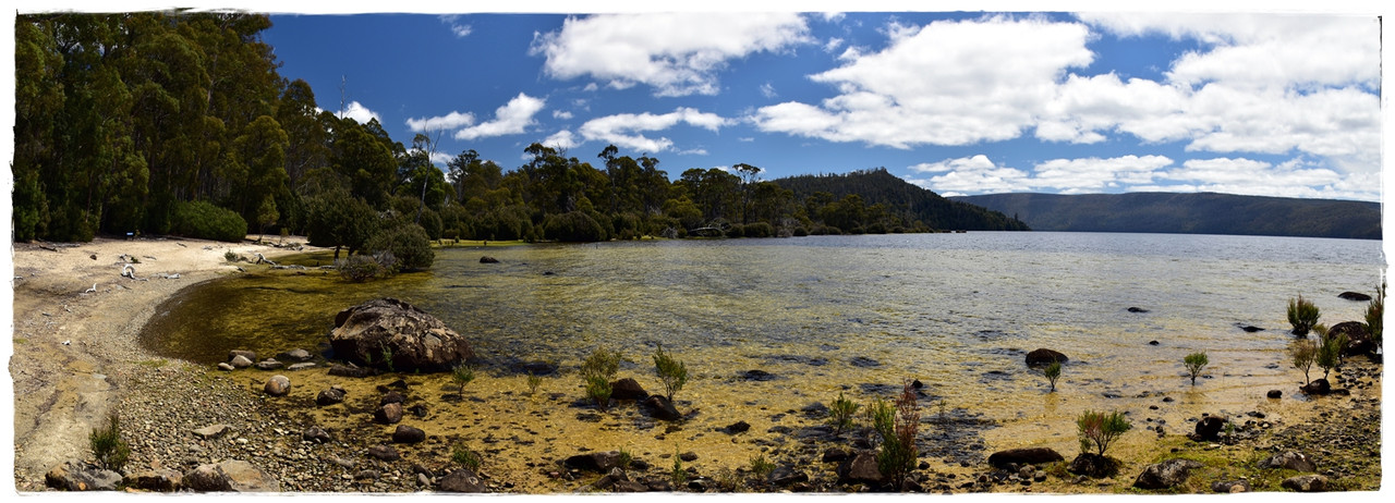 Lake St Clair National Park - Australia (II): Recorriendo Tasmania (14)