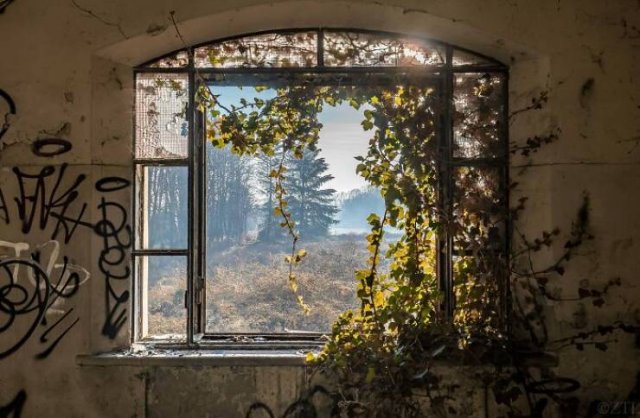 Abandonados-21