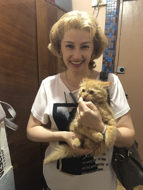 AB7867D8-1EFC-4893-B1C4-39FC00070AD7