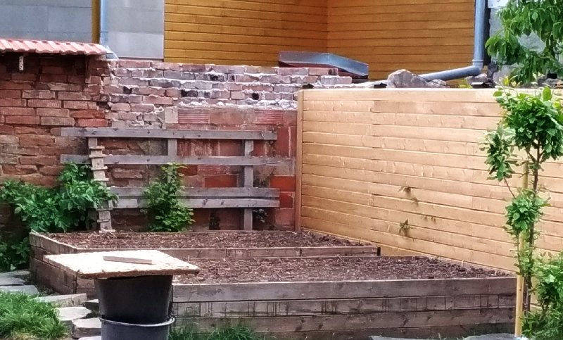 zahr.jpg