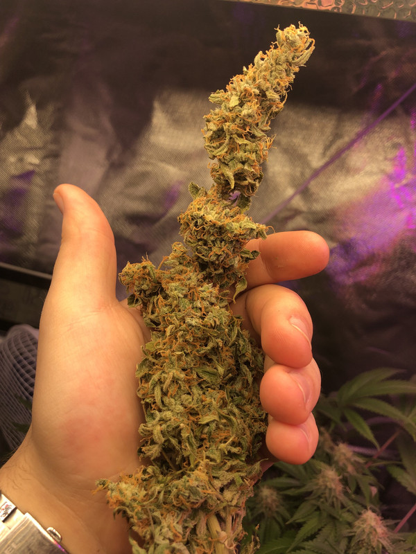 BDE07A97-C911-4F80-9ED7-AC73F92ACEEF