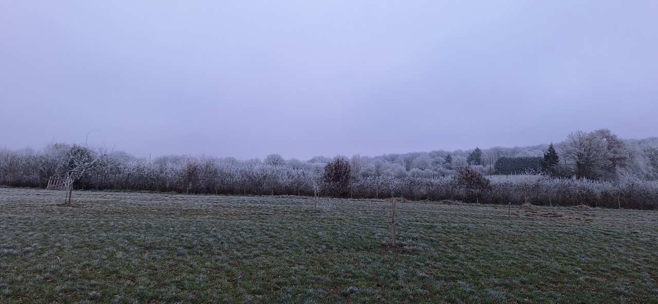 [Image: 20260105-161654.jpg]