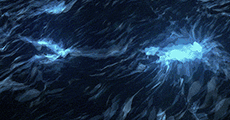 https://i.postimg.cc/tTqZX7HM/3.gif