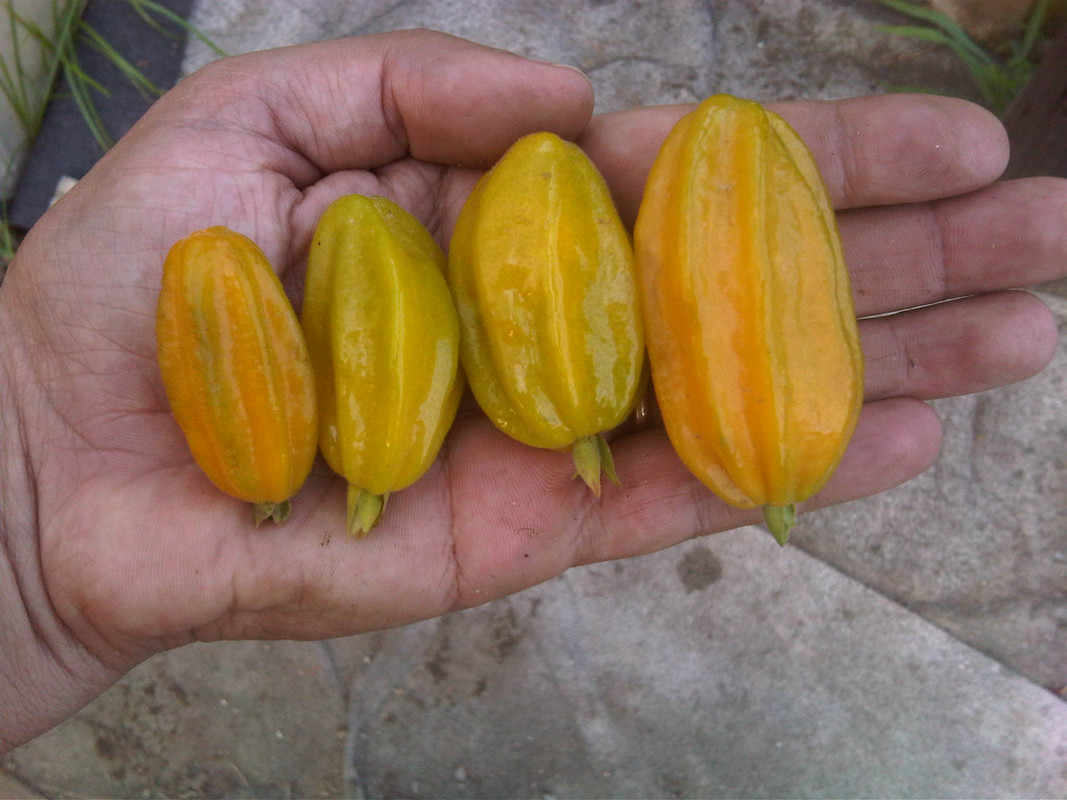 IMG00249-20130718-1934