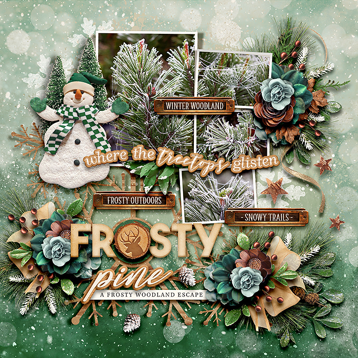 Frosty.jpg