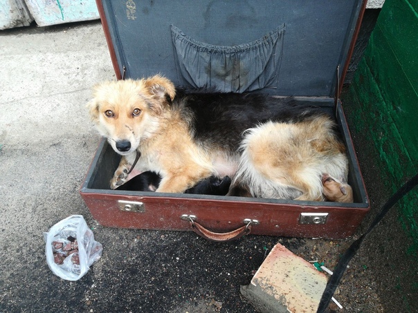 AF6EE09F-4B3B-4E79-BE55-83AFC912D824