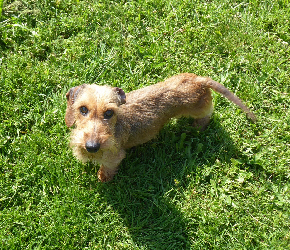 [Image: P1020840.jpg]