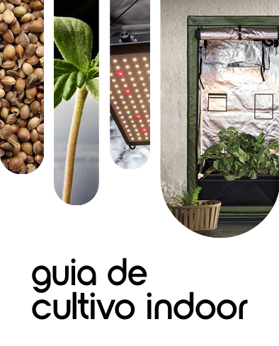 Guia de Cultivo Indoor