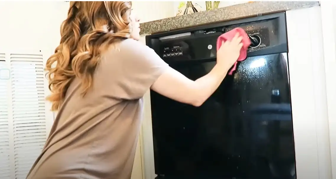 Clean the front of the dishwasher