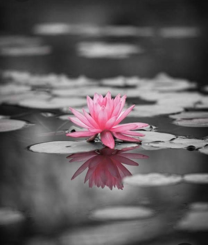 Screenshot_20230724_220247_Pinterest