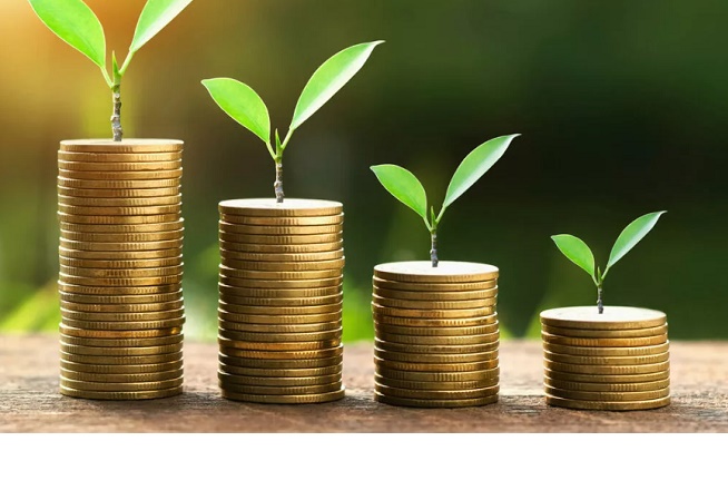 Image-17337267215250