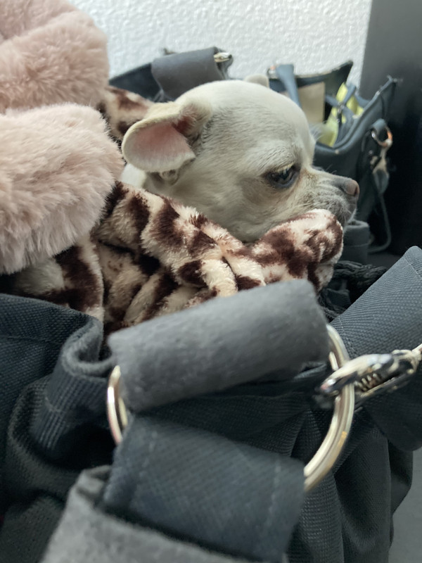 48886E89-CFCC-44FB-BE77-0B51FB1A10B7