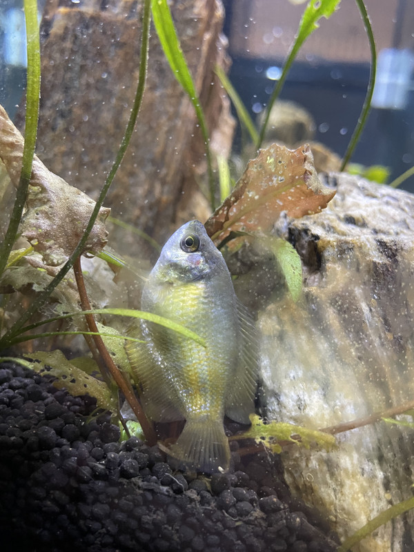 C530638B-7F11-4572-8130-89E940B2592C