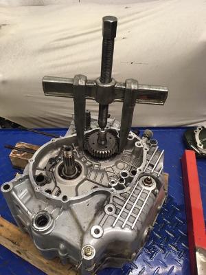 703F89D1-DFF1-4579-8142-6FC6C660002E