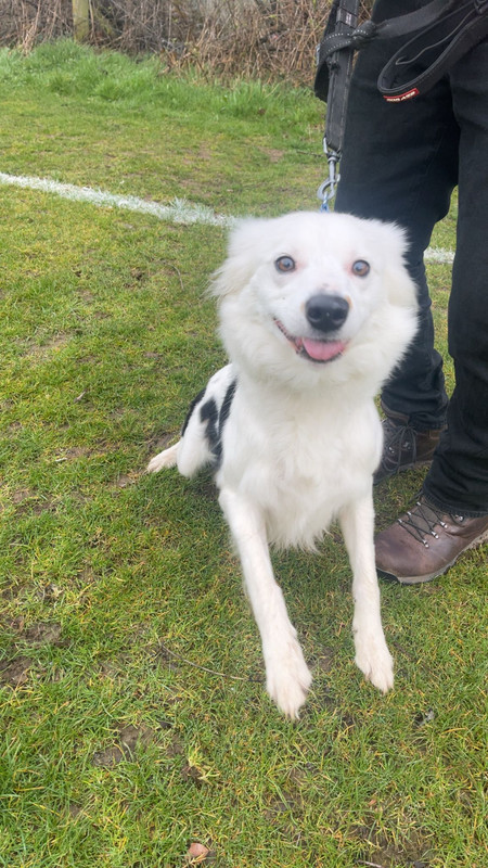 WhatsApp Image 2025-03-23 at 22.45.36_9529a0ab