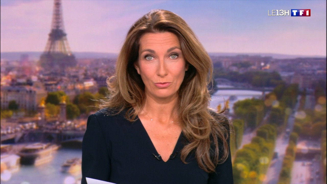 2022-11-20_13_00_TF1_Le-13h.mp4_snapshot_07.07.842