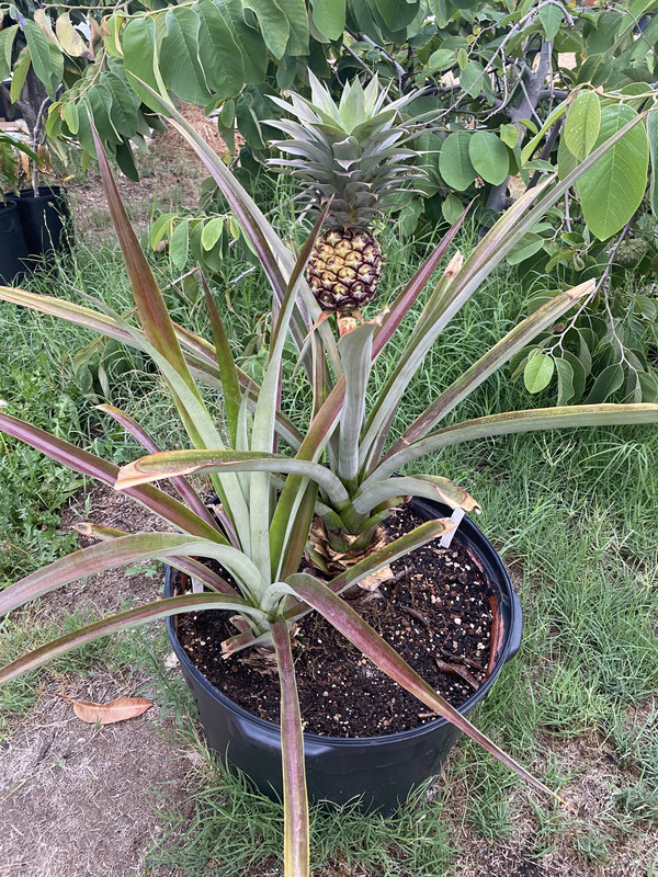 E6EC7E57-4F5D-4868-8DB8-51001C59F9D6