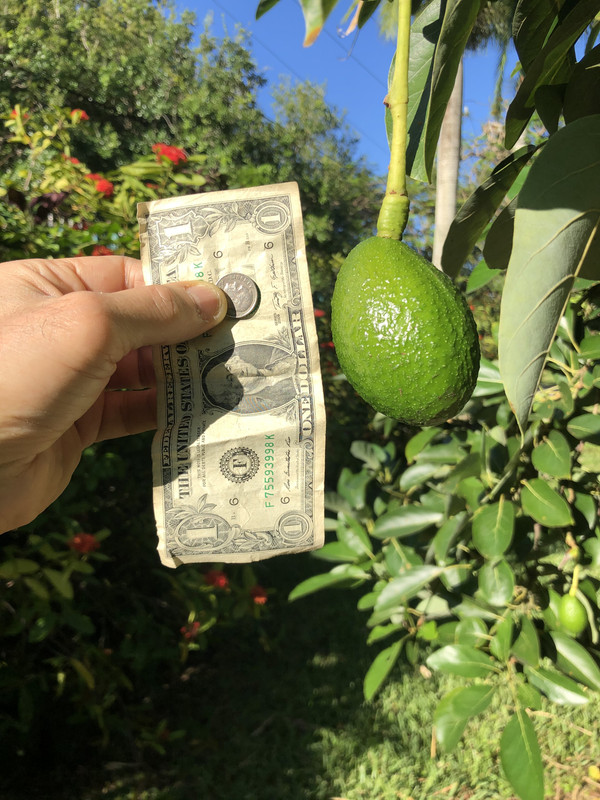 A682C5CB-6771-43A5-BD52-C62E228A8F01