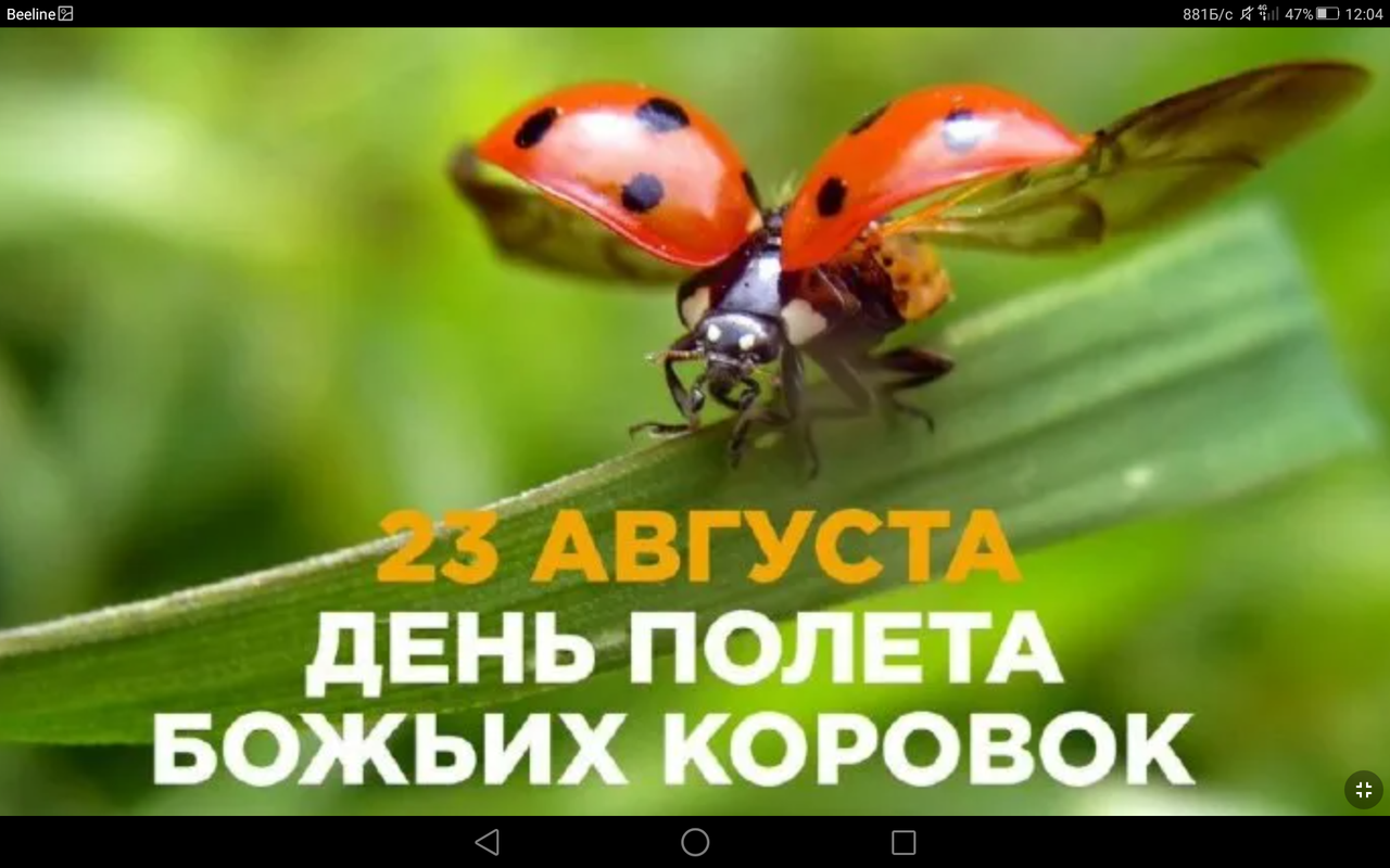 Screenshot_2023-08-23-12-04-31