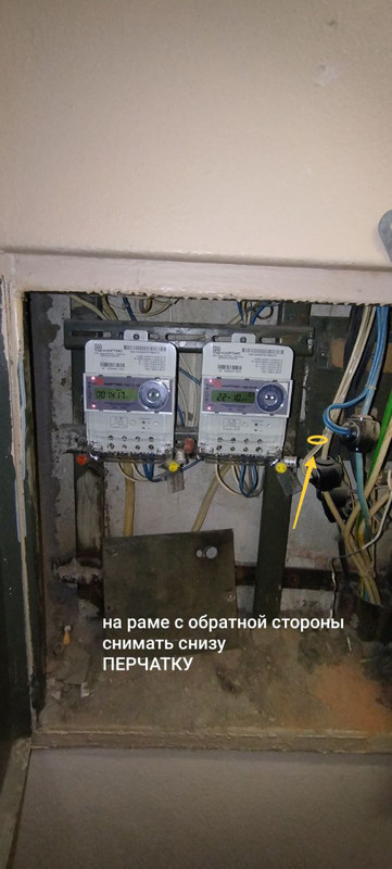 photo 5461141304907003987 y