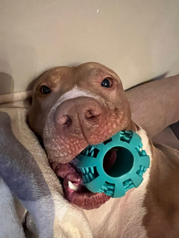 323B370B-19EF-40C1-9CAB-C01BE62AF8F3